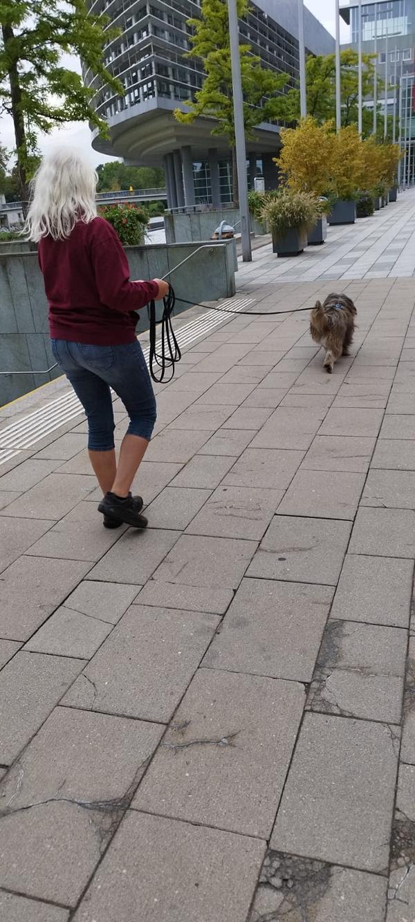 K800_608daa42-bf1d-4275-a694-9a3f9591e371