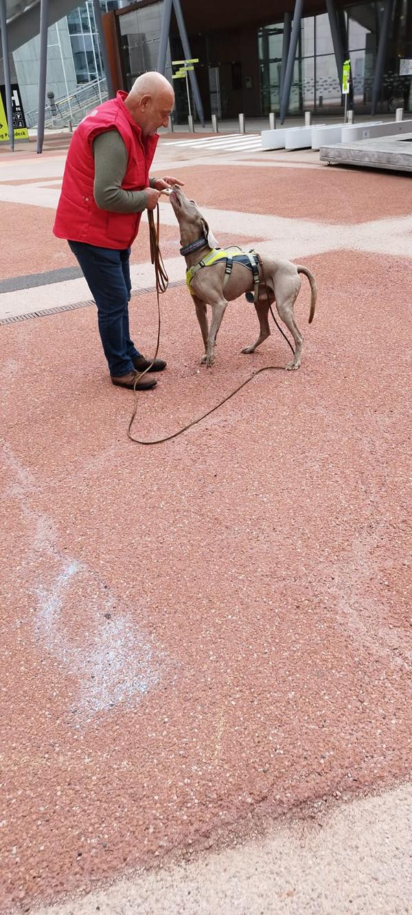 K800_7a85b90c-262f-4d2b-9651-ce47a7616ce1