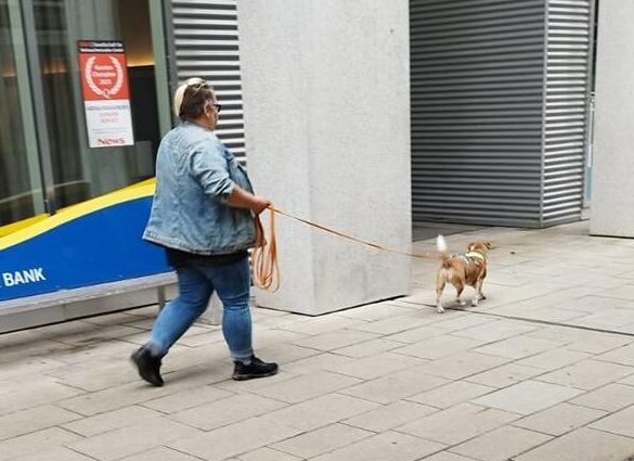 K800_de0639a2-b271-4a3b-b668-8157a09bb68b