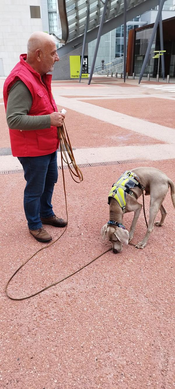 K800_ff284acb-3e10-4d0e-8b15-a24cddc38970