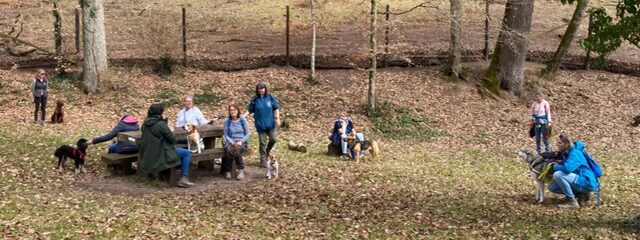 12998522-f894-4e80-aca1-0b6ffd3ba16c