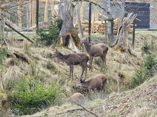 17856709-fe8b-44fc-841a-9bdf4a019963