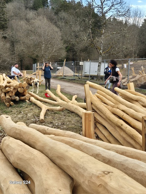 20ee6c5d-8c2d-4eff-a947-04a3c2212633