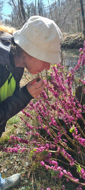 2eecd390-6108-413c-8293-698cad1190ba