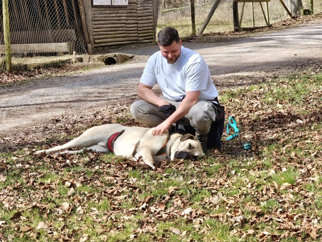 3f4cbf40-9e42-4535-8e4d-b0240b15e6cd