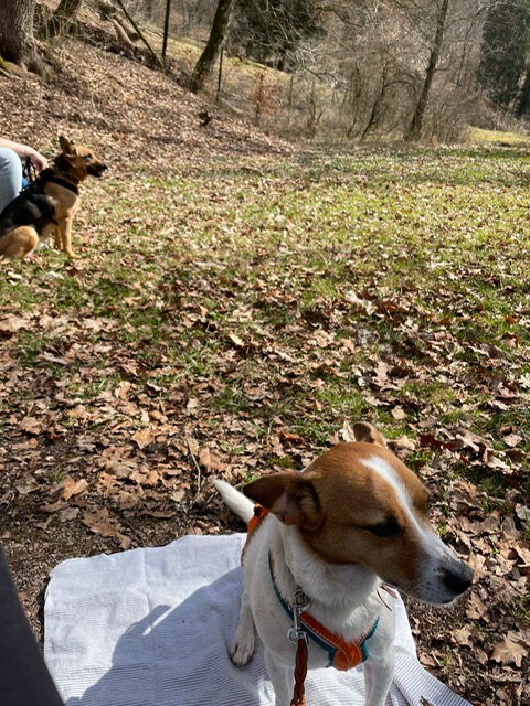 4adbe82d-2627-4f54-8836-d3e630bbf7eb