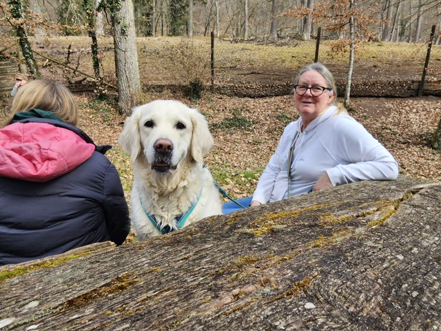 73aeb48f-a63f-4a95-9477-5bd15125a046