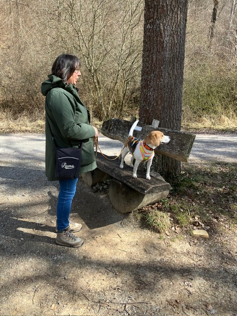 8d076aa6-f828-4d97-ade2-56f067bfbe59