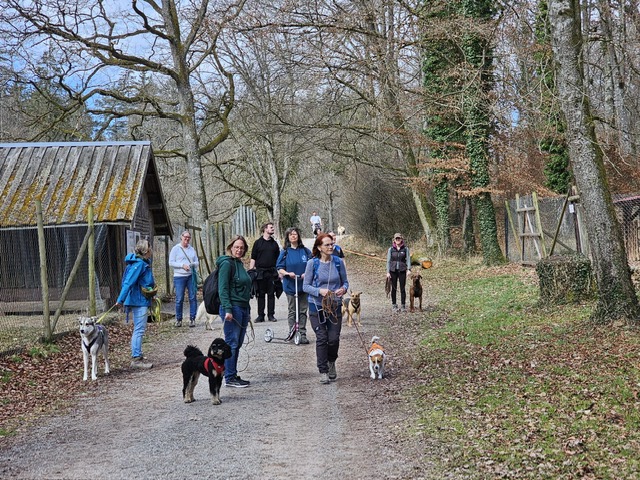 8ea23c04-0ebd-4865-ae0f-ccfce1b6b7bb