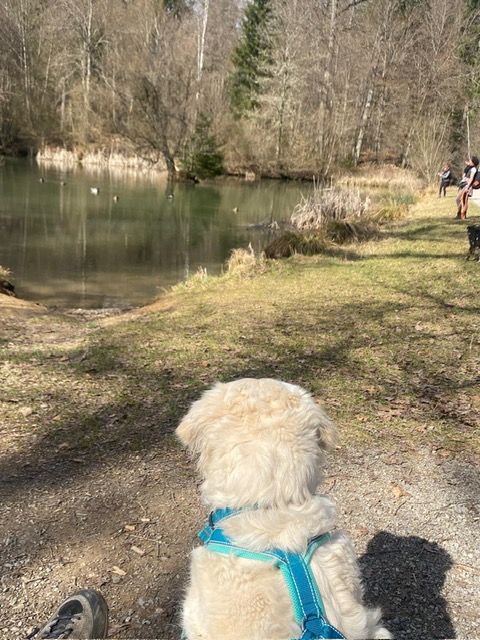 8f7e1ef6-e1e5-4bb9-a408-9fae491a2337