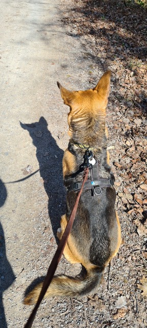 a2423365-3b91-412e-afb0-31f60bf34678