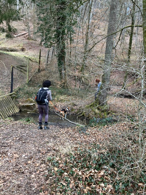 a461af40-e555-4661-a520-4851332e0678