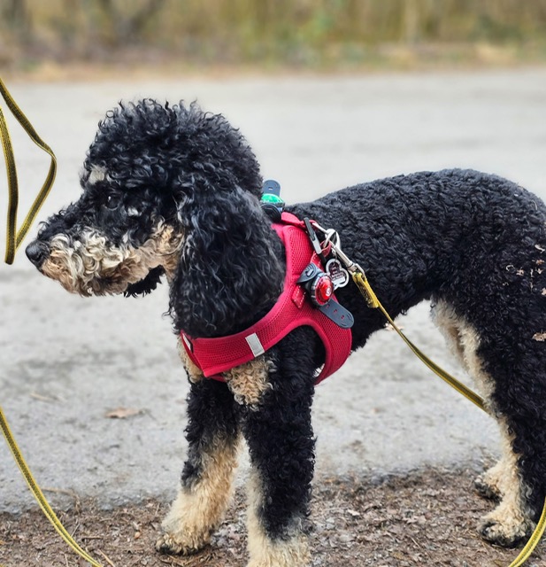 b35aac47-8598-4e3f-80a3-6fa741c0c803