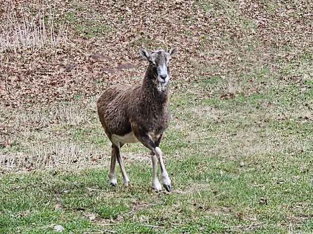 d2fd4169-9b48-41b8-8a6b-c33d7034d3a2