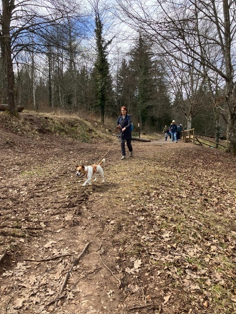 d568bb19-12fd-4c41-9cb7-5c45b1100fda