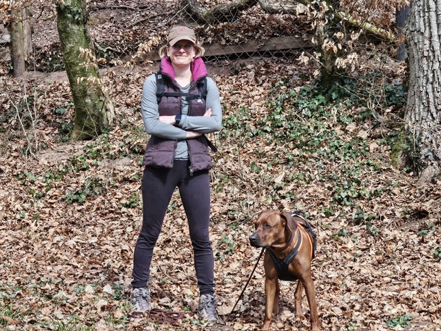 e1bc0960-760f-4f06-ae38-3771243fae1d