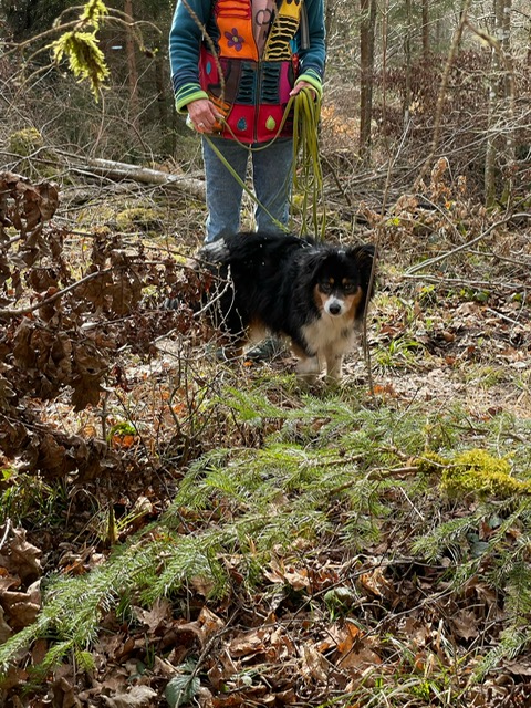 ecd42305-ae5e-469f-a647-2822174e6bec