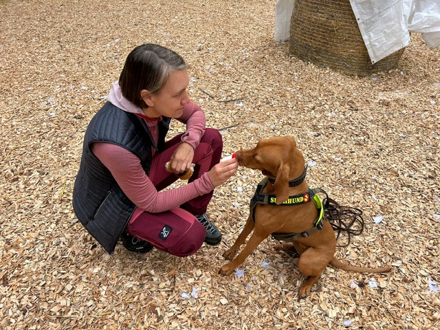 18d976ae-b88b-4fdc-a76b-eedb5573c498