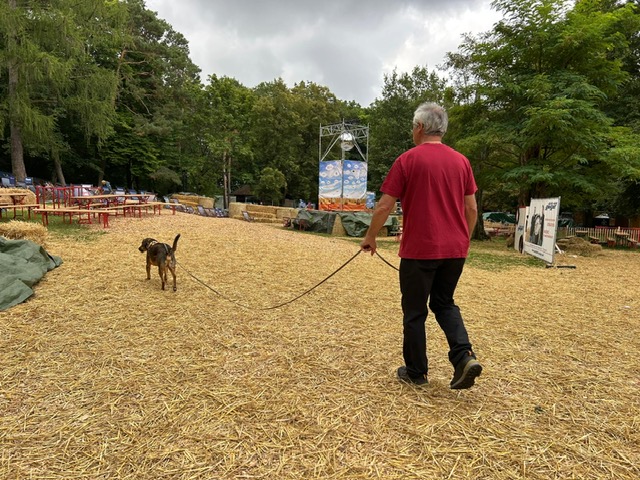 25d6600f-824b-4f8e-9a08-d630885da385