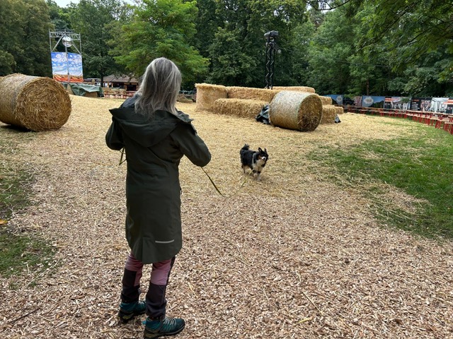 3aa74f87-fa94-4d52-ad3f-5dbf715c3464