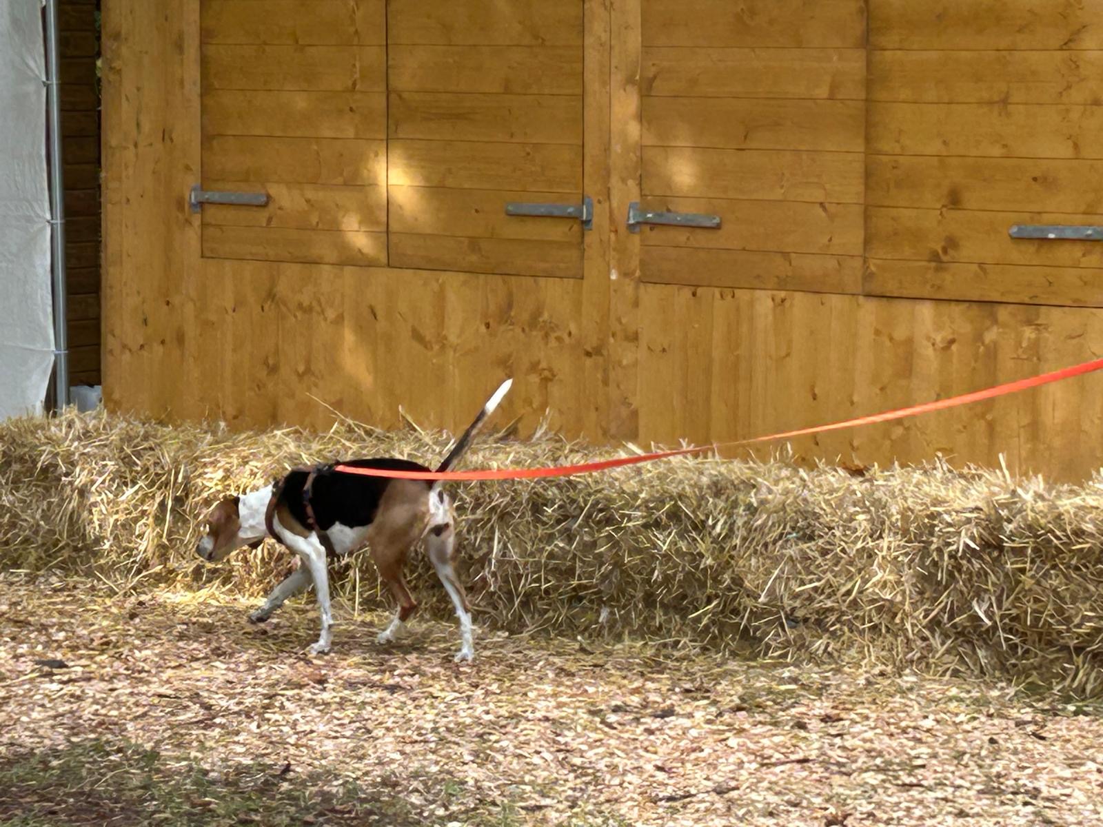 68d0a47a-836b-4c71-ad1d-2953eb8ad0cc