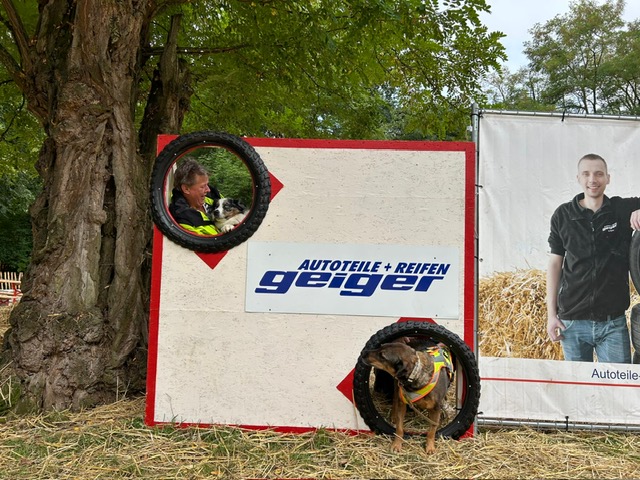 6eca3b1a-be76-4a5f-8775-44d49eb7e946