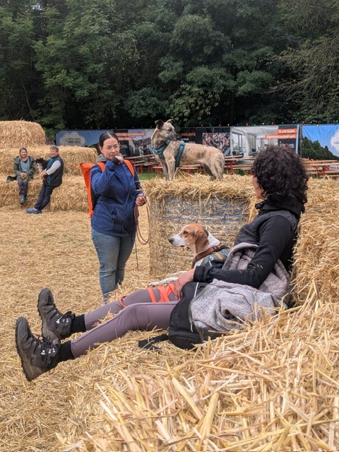 9bce8fea-f0f4-436e-816c-2129000b4f95