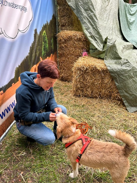 9f9686dd-4e2e-428a-b975-5c7756dd7c6f