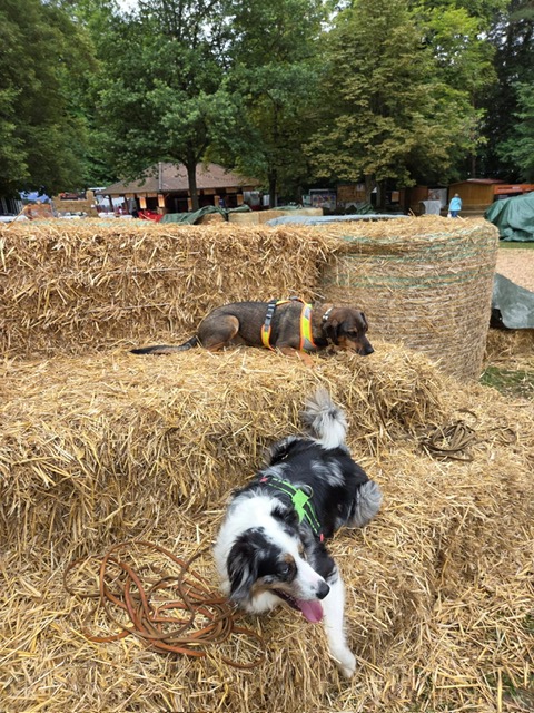 a9cbea4e-b45b-4751-b702-405e00f56b8b