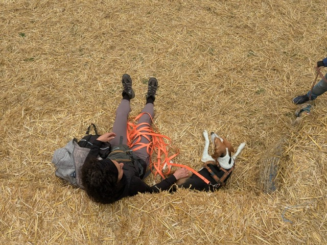 b6a956b8-a81d-4d3c-ab9b-ff528634562f