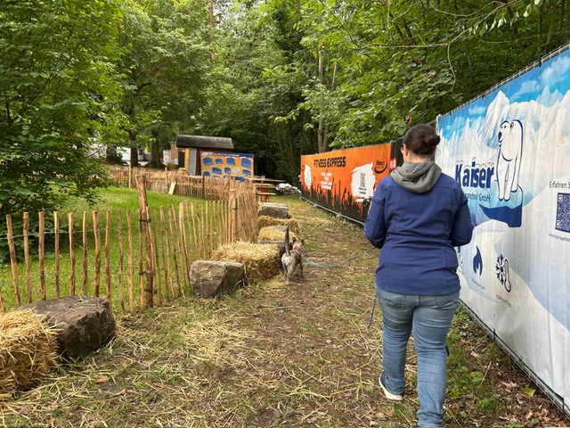 c3b05f18-6d64-4163-a123-623f112763dd