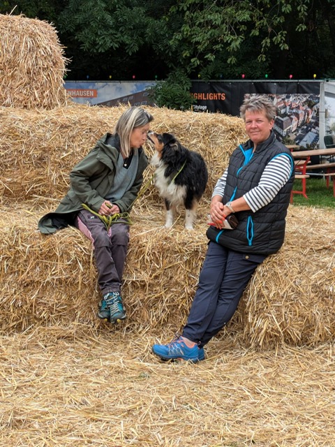 d08c179a-47fc-4c63-88de-f7ad185e77f2