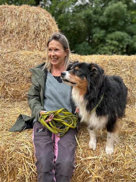 f85be84f-27e5-4029-98d2-0464345827c3