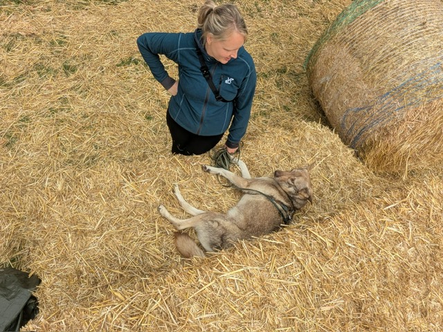 fc3fa0df-e39c-4582-ac8a-a1b387bd065b