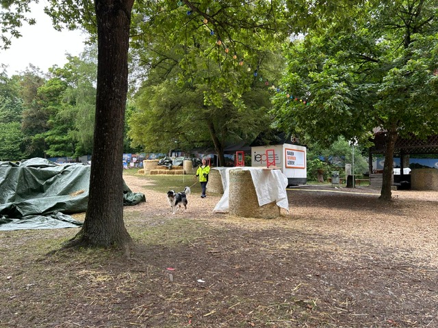 ff691ad8-a215-4523-a5f4-7440c104bc09