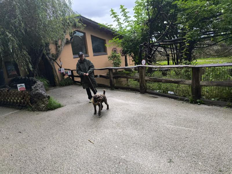 IMG_20250803_105231_1