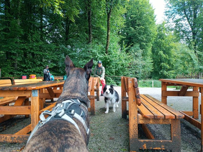 IMG_20250803_112716_1