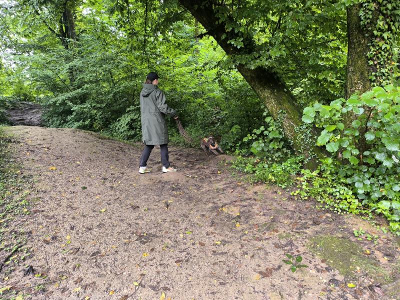 IMG_20250803_113706_1