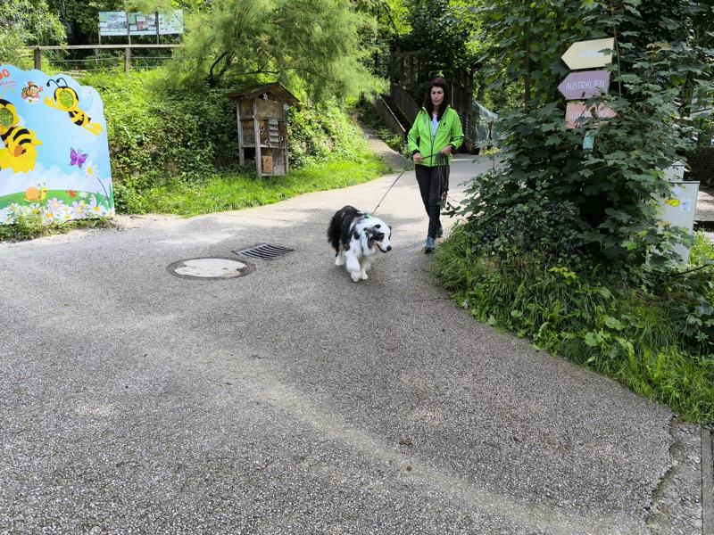 IMG_20250803_125516_1