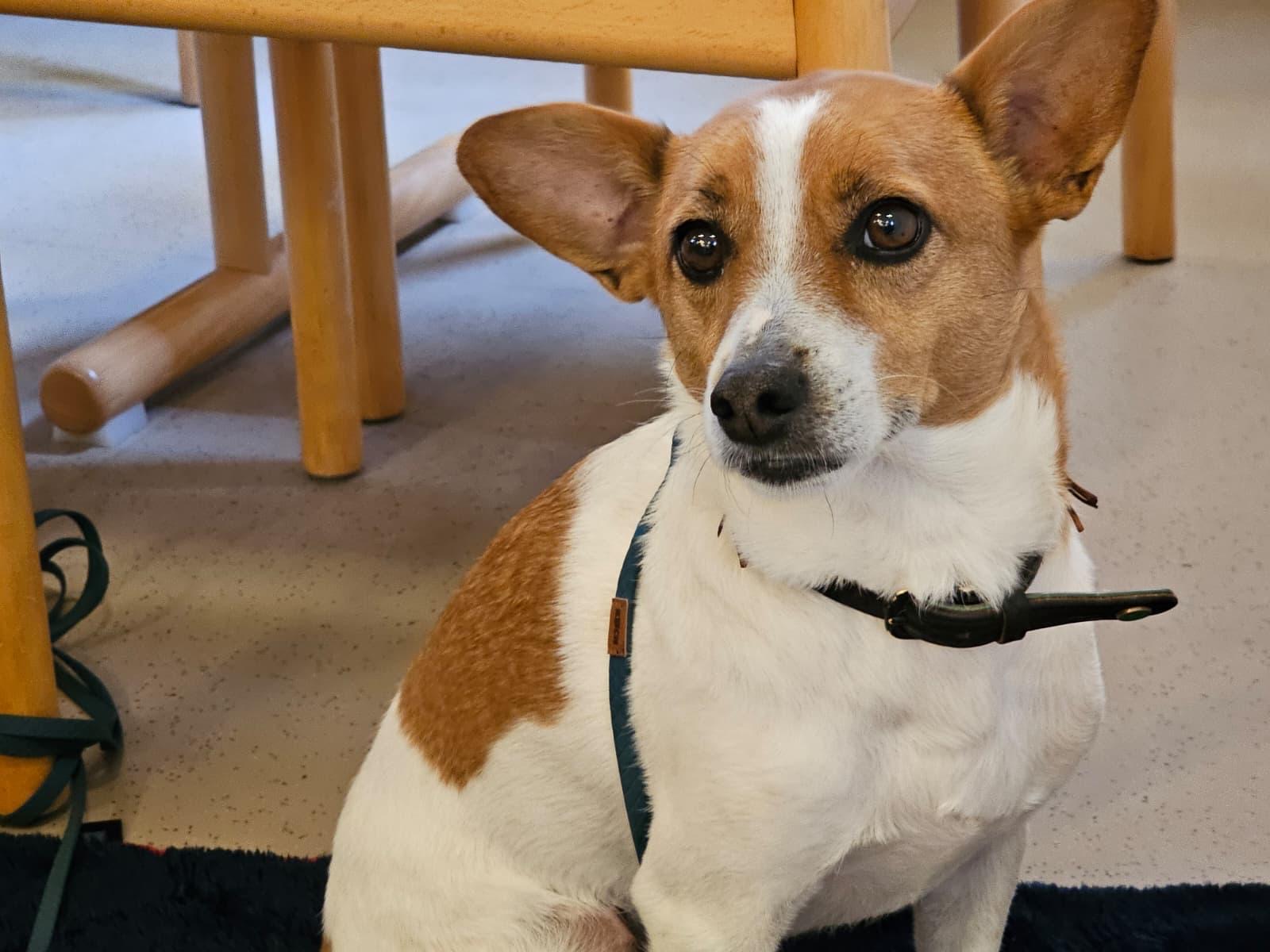 05f51779-3b77-484e-ba68-6d996832be06