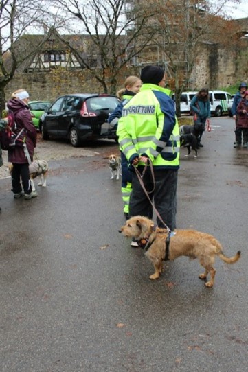 14474d95-b1b7-42a5-8634-fb7619ed86ca