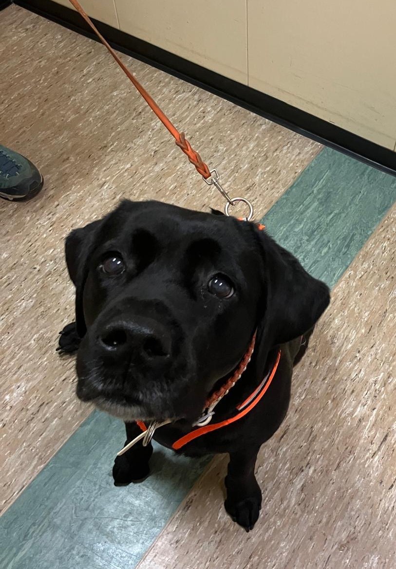 1571b1ef-847d-4f74-8d04-ebdc3203bf7b