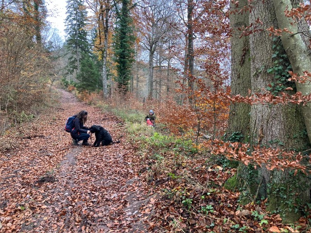 1637de62-c582-4444-9cf1-01fe5c0a24e5