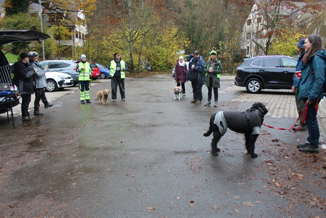 5189f941-3a09-4234-8a35-4017b78637f9