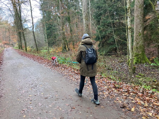 79ed5f14-04f3-49e5-89f3-d4dfdb23d23b