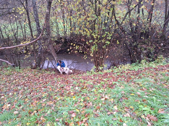 9009f806-4a94-40e5-af12-13ab2889eb0f