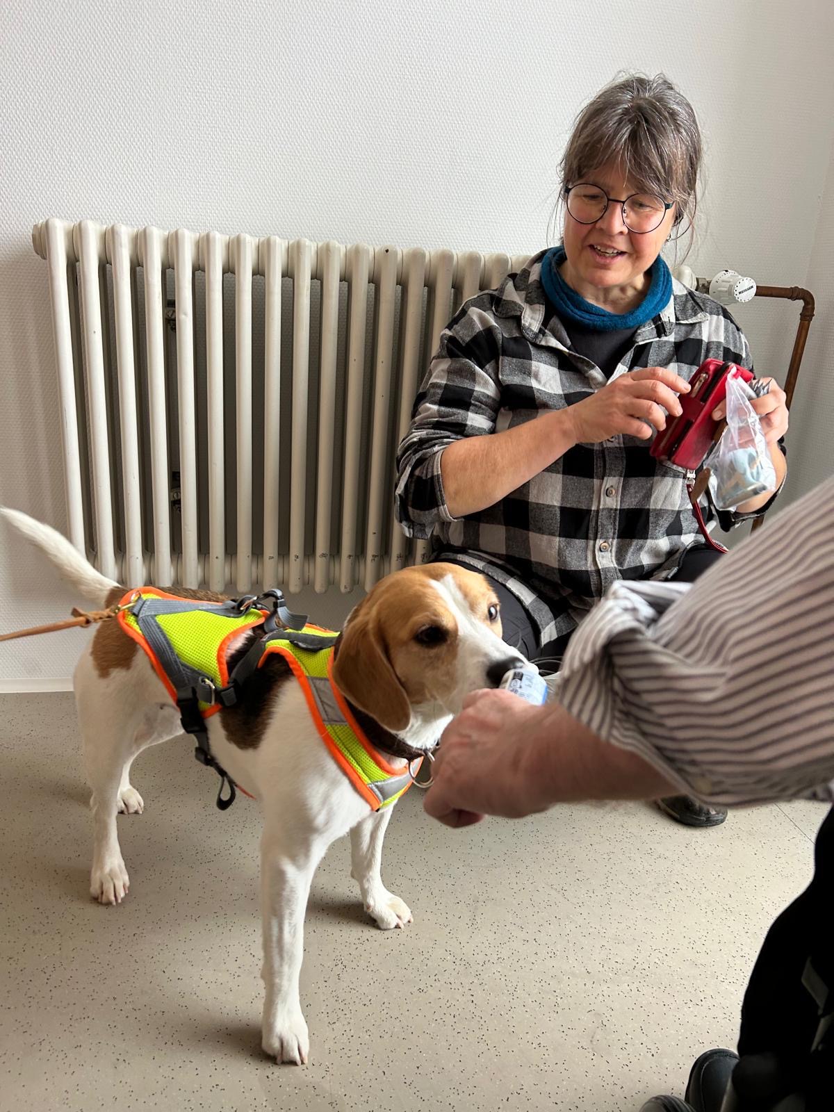 a223eb43-3094-42f3-b1b4-cee316077241