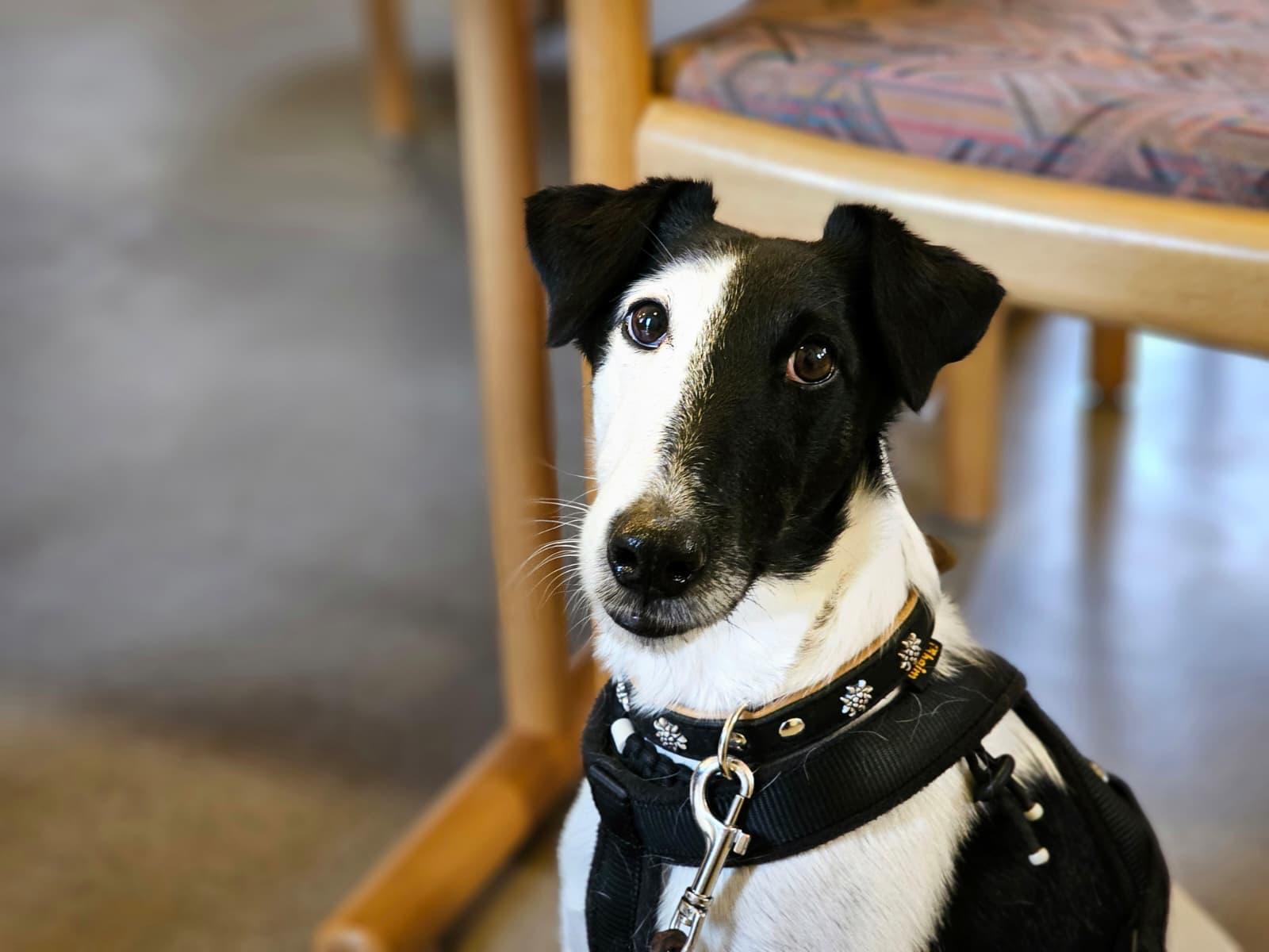 a323108a-0c70-4988-a4e9-60ac17b693a4