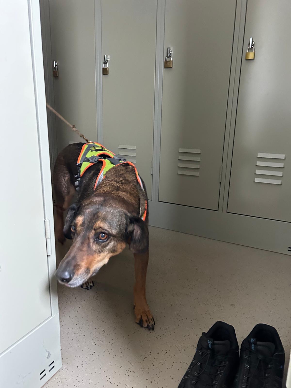 aeee0849-5300-46e0-b38d-b8c44be05b23