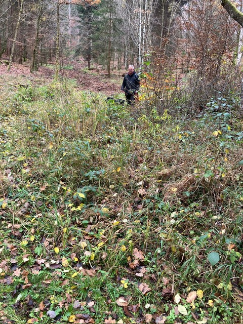 b6f59e59-18e3-4495-9aaa-777842d421bb